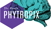 Phytropix from Dr. Flam Logo